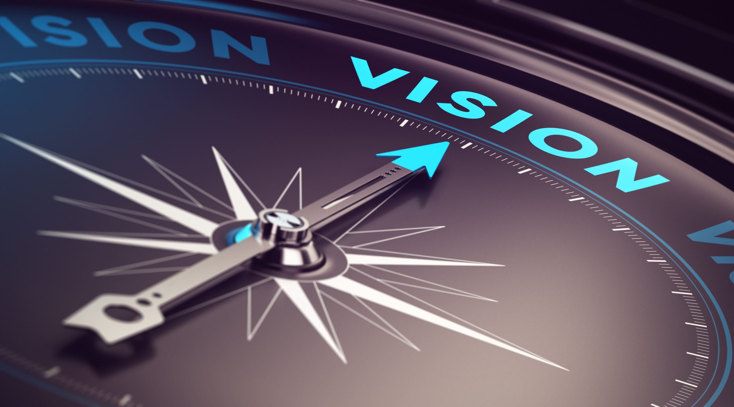 Business vision and strategic direction for long-term growth